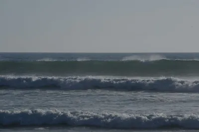 DSC_7063 (Large).JPG